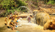 Elephant Jungle Sanctuary 2 day programme